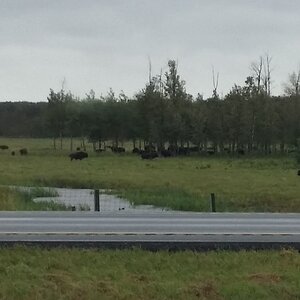 ustripaug16 (208).jpg