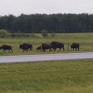 ustripaug16 (201).jpg