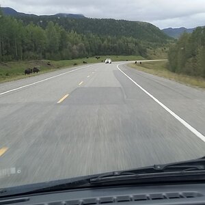 ustripaug16 (486).jpg