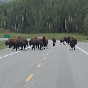 ustripaug16 (498).jpg