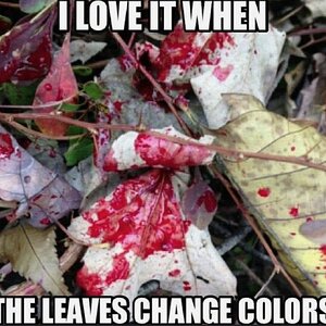 leaves.jpg