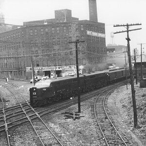 3 9 9 buffalo    1950.jpg