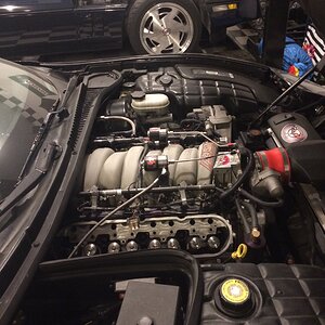 iOS Image - 1604541367.jpg