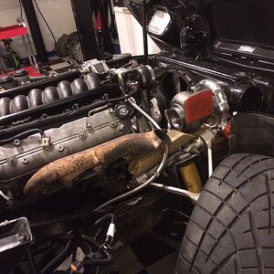 iOS Image - 1962584468.jpg