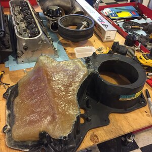 iOS Image - 3447147817.jpg