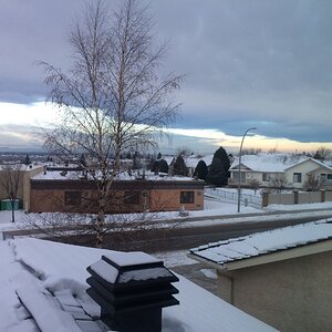 iOS Image - 3679885641.jpg