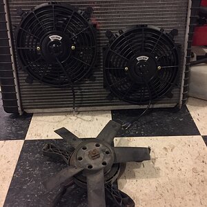 iOS Image - 1742871098.jpg