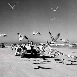 DaytonaBeach1956.jpg