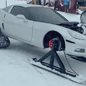 Winter Vette.jpg