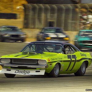 70_dodge-challenger_dv-18-mh-02.jpg