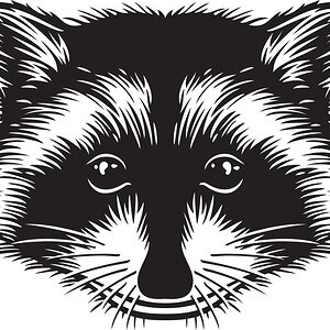 raccoon-head_726294-1069.jpg