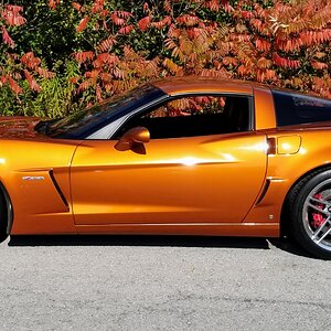 z062~2.jpg