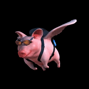 20-black-background-pig-acegif.gif