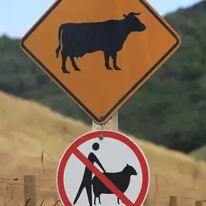 funny_road_signs_17-2659054113.webp