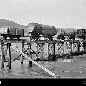 albert-percy-godber-new-zealand-photographer-steam-locomotive-hauling-kauri-logs-across-maori...webp