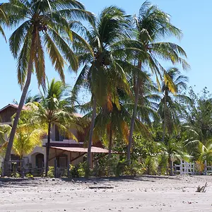 panama burwash 018.webp