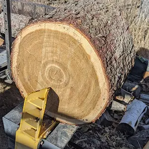 Media 'PXL_20251104_192940486.webp' in category 'Off Topic'