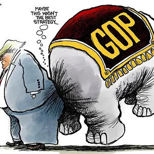 Media 'f76dd66cb1b7517df0a5f9bbdfed56e5-331320491.webp' in category 'Off Topic'