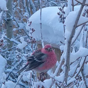 Media 'cid_8f8394b6-8a98-4876-bf67-abccfb05cf99.webp' in category 'Off Topic'