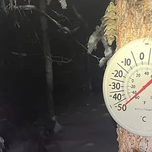 Media 'default.webp' in category 'Off Topic'