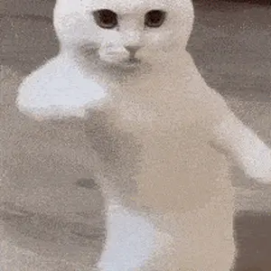 Media 'IMG_20250821_205100.gif' in category 'Corvette C8'