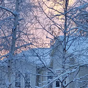 Media 'cid_b2f665ad-dd76-4378-8e7d-e2677a9c906e.webp' in category 'Off Topic'