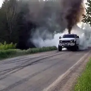 Media 'OIP-3369086415.webp' in category 'Off Topic'