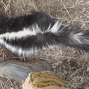 Media '1767885634769.webp' in category 'Off Topic'