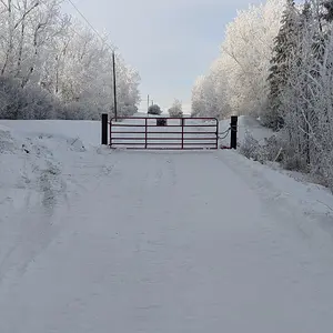 Media 'PXL_20260104_171814190 (1).webp' in category 'Off Topic'