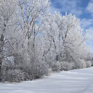 Media 'PXL_20260105_195852124 (1).webp' in category 'Off Topic'