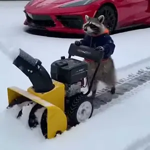 Media 'raw.mp4' in category 'Corvette C8'