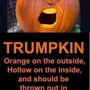 Media 'signal-2020-10-19-074647.webp' in category 'Off Topic'