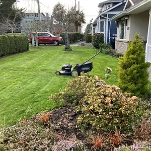 Media '5528D166-5497-411A-AC41-736920FD8345.webp' in category 'Off Topic'