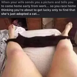 Media '1615669067762.webp' in category 'Off Topic'