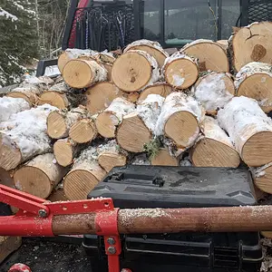 Media '1769656296281.webp' in category 'Off Topic'