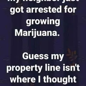 Media 'weed.webp' in category 'Off Topic'