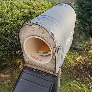 Media '125187090_3775558145840211_6557054669374519770_n.webp' in category 'Off Topic'