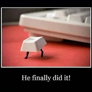 Media '164495868_2599576320341036_1549948939135325437_n.webp' in category 'Off Topic'