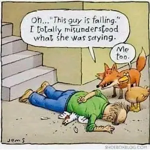 Media 'IMG_4725.webp' in category 'Off Topic'