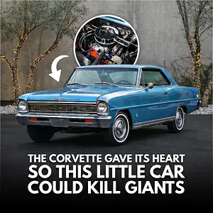 Media '1770424827571.webp' in category 'Off Topic'