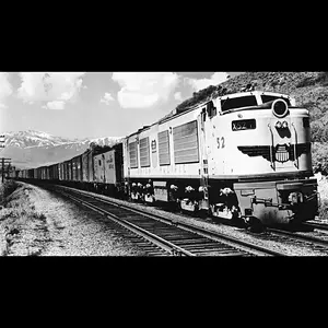 Media 'IMG_0044.webp' in category 'Off Topic'