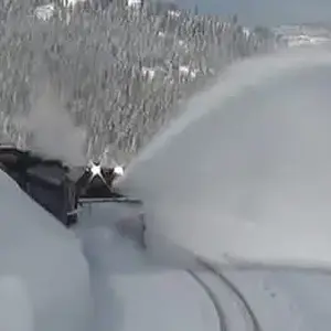 Media '1770569578646.webp' in category 'Off Topic'