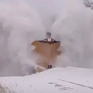 Media '1770569700252.webp' in category 'Off Topic'