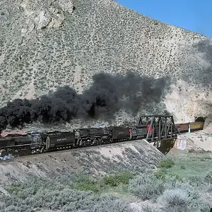 Media '1770675245323.webp' in category 'Off Topic'