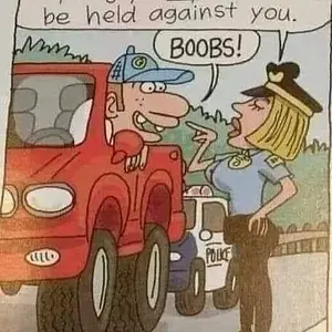 Media 'fe75958c0ffe5d80ffec3b3f35ec3ab18da68a1e_2_415x499.webp' in category 'Off Topic'