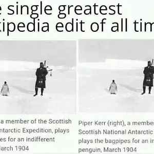 Media 'Thanks-for-the-clarification.webp' in category 'Off Topic'