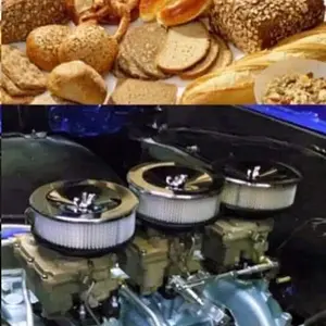 Media 'IMG_4872.webp' in category 'Off Topic'