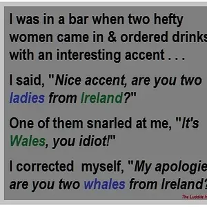 Media '75be396b3f438ba64169b1bdfa7a20b9e26f072ff230e7591c349147e2f53c26.webp' in category 'Off Topic'