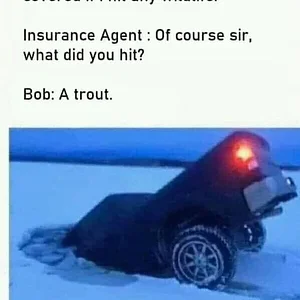 Media '271703971_1347916235673661_5335879059715922887_n.webp' in category 'Off Topic'