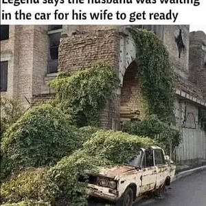 Media '1598044448984.webp' in category 'Off Topic'